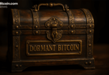 Bitcoin Holders Break Silence: 4.6 Million Dormant Coins Spring Back to Life in 2025