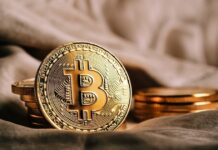 Dash (DASH) Surges Amid Rising Demand for Privacy Tokens