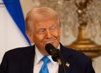 Stocks Continue to Outperform Bitcoin Despite Trump’s Shenanigans