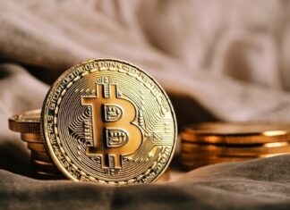 BitMEX Proposes Quantum Canary Fund as Alternative to BTC Freeze