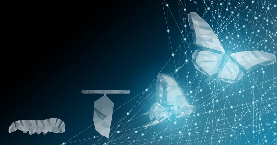 What is a Modular Blockchain?