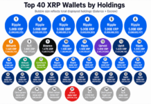55.84 Billion XRP Appears Across the Top 40 Wallets, but Escrow Changes the Picture