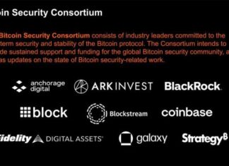 9 Wall Street and Crypto Giants Unite to Protect Bitcoin With $15 Million Initiative