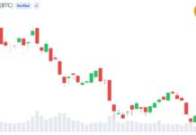 Bitcoin Flashes ‘End of Bear’ Signal as Cost Basis Crossover Suggests Final Bear Market Phase