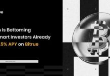 Bitcoin Is Bottoming, And Smart Investors Are Already Earning 6.5% APY on Bitrue