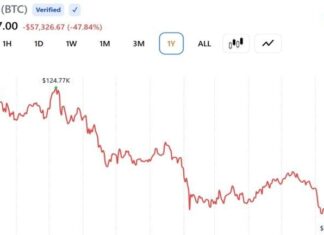 Bitcoin Is Down 50% but Cryptoquant Says the Cycle Top Still Hasn’t Happened