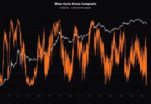 Bitcoin Miner Stress Hits ‘Historically Rare’ Level as 20% of Miners Operate at a Loss