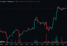 Bitcoin Roars Back Above $65K as Iran War Fails to Break Whale Buying Frenzy