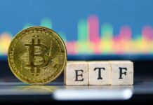 Blackrock Pulls $116 Million Into IBIT as Bitcoin Funds Post Longest Streak Since May
