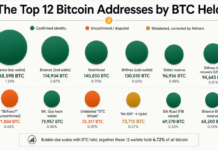 Inside the Top 12 Bitcoin Addresses: Who Holds 1.35 Million BTC