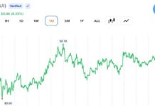 SUI Trader Eyes $5 Target as Expert Sees ‘Early Recovery Signs’