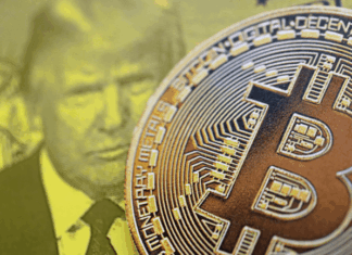 The Fed Liquidity Signal That Predicted Bitcoin’s Top 8 Months Early