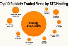 Top 10 Publicly Traded Firms by BTC Holdings Reveal a Million-Bitcoin Power Bloc
