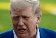 Trump Discloses 327 Stock Purchases Made One Day Before His Tariff Pause Rally