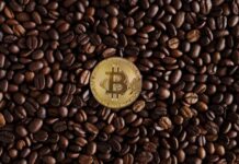 Vanadi Coffee’s Bitcoin Pivot Soured by Exorbitant Board Fees and Shareholder Revolt