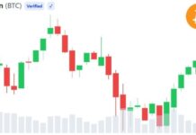 Whale Buying Hints at Bitcoin Bottom After Worst Month Since 2022 — 3 Signals to Watch