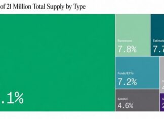 Who Actually Owns Bitcoin? Not Wall Street or Institutions — Individuals Hold 66%, Bitwise Says