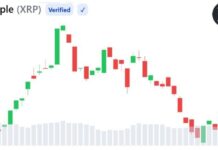 XRP Bearish Trend Deepens as Weak Liquidity and Falling Open Interest Signal Caution