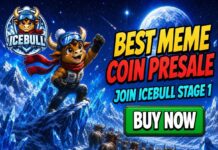 7 Best Meme Coins to Buy Now: IceBull Joins the Race While Its Presale Is Still at Stage 1