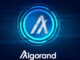 ALGO Price Prediction: Dead Weight or Coiled Spring — $0.08 Is the Line in the Sand