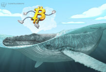 Crypto whales accumulate as bear market nears late stage: CryptoQuant