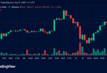 Bitcoin Price Battles Back From $77K as Bulls Eye $80K Breakout