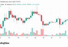 Bitcoin Price Holds Above $78.5K as August Gains Near 25%