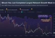 Bitcoin Wallets Spike to 2026 High as Coldcard Hack Fallout Spreads