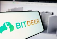 Bitdeer Cuts Gross Loss to $8.5M as Q2 Revenue Tops $228.8M
