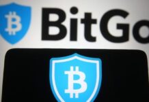 Bitgo Revenue Jumps 80% to $4.3B as Stablecoin Demand Grows