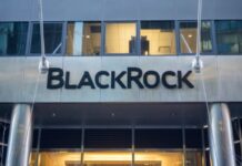 Blackrock Brings 2 Tokenized Money Market Funds to Stablecoin Issuers