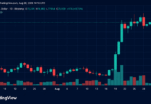 Bulls Reload for Another Assault on $81K as Bitcoin’s Price Rises
