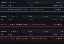 Ceffu Pulls $263 Million in Bitcoin and Ethereum off Binance in 30 Minutes