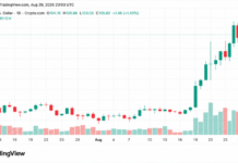 Crypto Weekly: Solana Leads Altcoin Gains as XRP and DOGE Slide