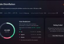 Helius CEO Secures Last-Minute Votes to Slash Solana Inflation