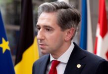 Ireland Bans Crypto From New State Investment Scheme