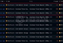 Metaplanet Moves 1,000 BTC Into Coinbase Prime Custody
