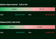 Options Bets Turn Defensive Ahead of a Bitcoin Price Showdown