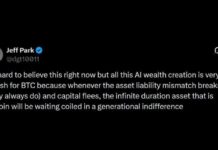 ParaFi Partner Bets AI Capital Flees to Bitcoin After Crash