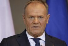 Polish Olympic Chief Detained in Crypto Fraud Probe
