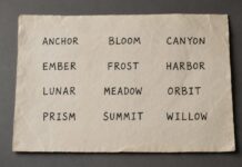 Seed Phrases: The 12 Words Standing Between You and Losing Everything