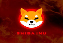SHIB Price Prediction: Squeezed Near Upper Bollinger Band as MACD Rolls Over — A Shakeout Is Brewing