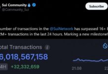 Sui Stablecoin Supply Holds Near $500M as Volume Tops $65B