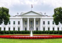 Trump Hosts Top Crypto CEOs at White House as US Weighs Bitcoin Buy