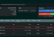 Whale Places $203M Short Bet Against Tokenized SpaceX Stock