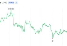 XRP Holders Can Trade Options on Derive With FXRP Collateral