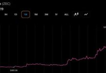 Zcash, Bitcoin Cash, Cardano Rally as ZEC Leads With a 47% Surge
