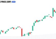 21Shares Builds XRP Case Around Utility, ETFs, and Fixed Supply