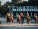 A 97% Favorite Lost at Goodwood and the Bookmakers Still Took a Hit