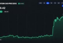 Bitcoin Cash Price Surges 30% as CME Announces BCH Futures Launch